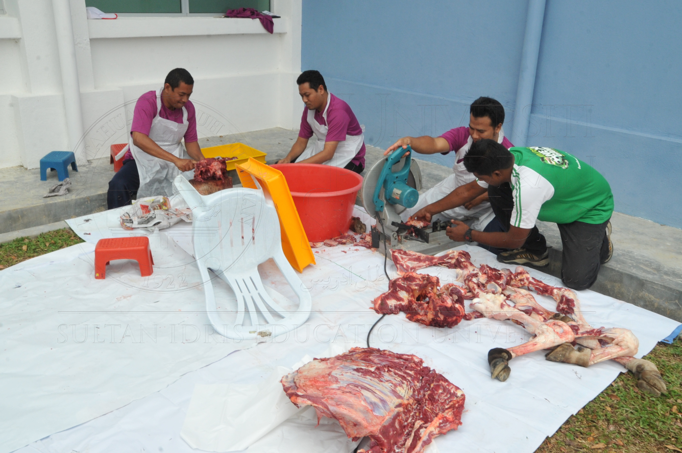 PRO15 150 KORBAN HAS 6881